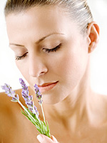 Essential oils and their use in aromatherapy