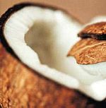 Coconut oil may help reverse the progression of Alzheimers disease.