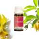 Ways To Use Ylang Ylang Essential Oil