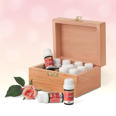 Essential Oil Kit (12 x 5ml Oils)