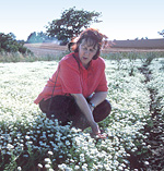 Sue Charles studies the flowers