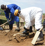 Removing lead-polluted soil