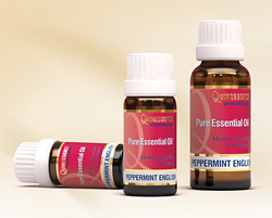 Essential oils from Quinessence