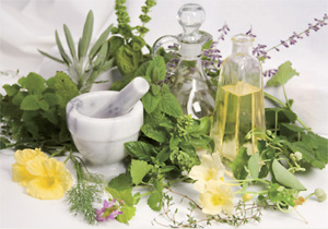 Healing Herbs In The News Again