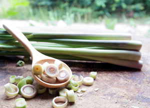 Lemongrass eases musclce cramps