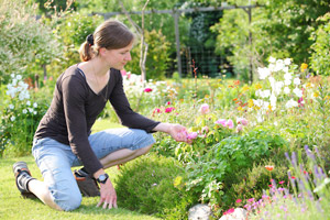 How to create a scented garden