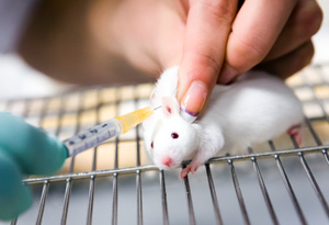 Stop testing household products on animals