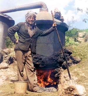 Worker rests whilst the rosemary 'cooks'