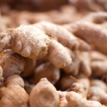 Ginger essential oil is extracted from the roots