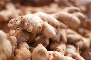 Ginger essential oil is extracted from the roots