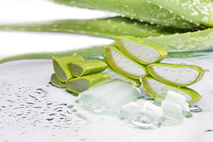 Aloe vera is a true power-plant