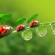 How to refresh your home with springtime aromas