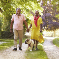 How to upgrade your health and wellbeing