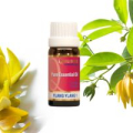 Ways to use ylang ylang essential oil