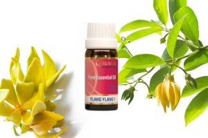 Ways To Use Ylang Ylang Essential Oil