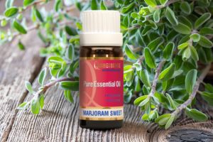 Discover Sweet Marjoram