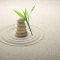 Stress Awareness Month