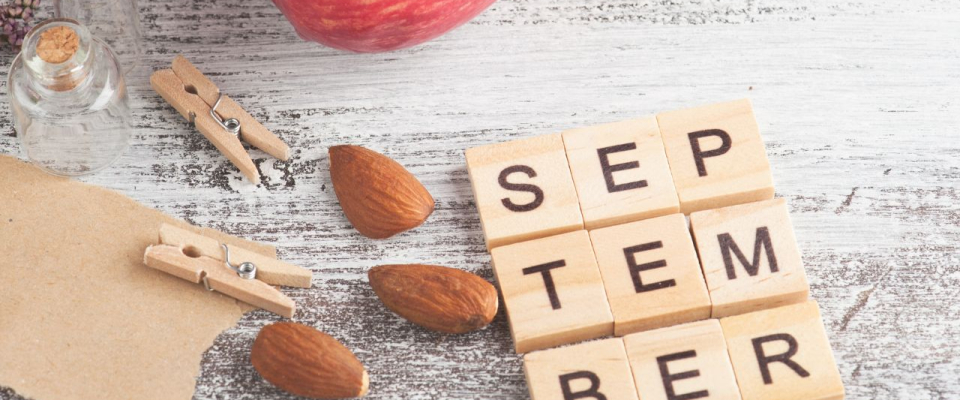 September Aromatherapy: Scents for a Seasonal Reset