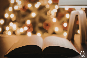 a quiet Christmas spent reading a favourite book