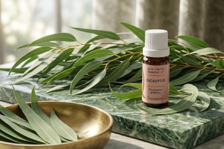 The Breath of the Forest: A Guide to Eucalyptus Globulus Essential Oil