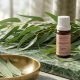The Breath of the Forest: A Guide to Eucalyptus Globulus Essential Oil