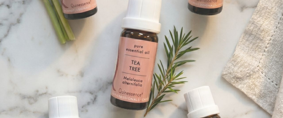 Celebrating World Environment Day with Aromatherapy