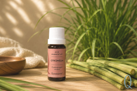 How to Use Citronella Essential Oil for a Natural Summer Outdoor Experience