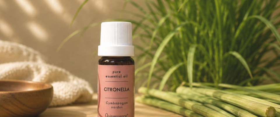 How to Use Citronella Essential Oil for a Natural Summer Outdoor Experience