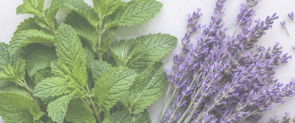 The Cooling Rituals: How to Use Peppermint and Lavender for Summer Relaxation
