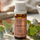 5 Essential Oils to Refresh Your Home This Summer
