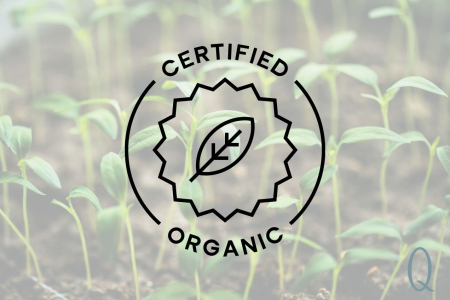 5 Organic Essential Oils to Refresh Your Routine This September