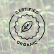 5 Organic Essential Oils to Refresh Your Routine This September