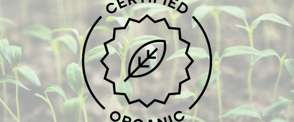 5 Organic Essential Oils to Refresh Your Routine This September