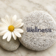 Celebrate National Wellness Month with the Power of Aromatherapy