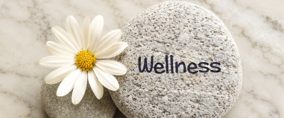 Celebrate National Wellness Month with the Power of Aromatherapy
