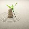 Stress Awareness Month